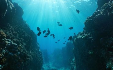 protect-the-oceans
