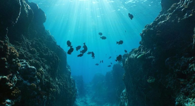 protect-the-oceans