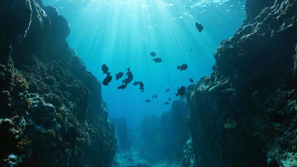 protect-the-oceans